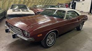 Image result for Golden Fawn 1974 Challenger