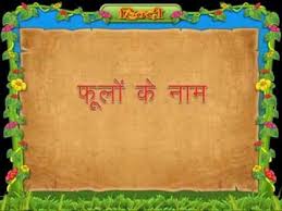 We did not find results for: Flowers Name In Hindi For Class 3 Kids Youtube