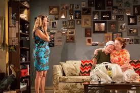 Review Ugly Lies The Bone With Mamie Gummer As A Combat Veteran The New York Times