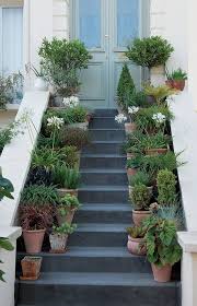A Staggered Display Of Pots On Both Sides Of These Steps Creates An Instant Flexible Garden Design Potted Plants Outdoor Urban Garden Garden Containers