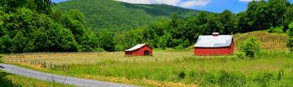 Maybe you would like to learn more about one of these? Top 20 Damascus Va Cabin Rentals From 75 Night Vrbo