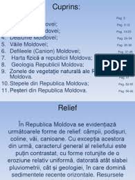 Publicat în 4 iulie 2019 de admin. Relief
