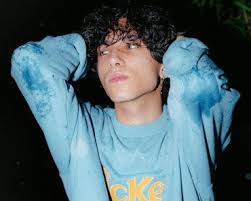 Veronica Belle (Model) Wiki, Biography, Age, Boyfriends, Family, Facts and  More-