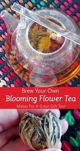 Unravel The Beauty Of Blooming Flower Teas Jett S Kitchen Blooming Flower Tea Blooming Tea Flower Tea