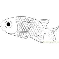 Are there any free printable fish coloring pages? Dead Fish Coloring Page For Kids Free Other Fish Printable Coloring Pages Online For Kids Coloringpages101 Com Coloring Pages For Kids