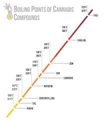 what is budder and why is it so awesome