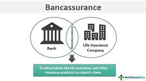 Bank-Owned Life Insurance (Boli) | Definition, Types, & Benefits