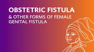 Borrowed from latin fistula (pipe, ulcer, catheter), from findō (cleave, divide, split). Obstetric Fistula Other Forms Of Female Genital Fistula Unfpa United Nations Population Fund