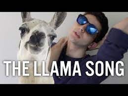 9 Llama Song Ideas Llama Llama Drama Funny Llama