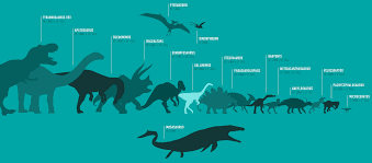 Jw Size Chart Jurassic Pedia