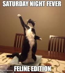 25 best memes about saturday night saturday night memes. Collection 90 Funny Saturday Memes Images Pics For A Happy Weekend Quoteslists Com Number One Source For Inspirational Quotes Illustrated Famous Quotes And Most Trending Sayings
