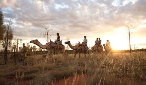 2020 top things to do in northern territory. Riding A Camel Around Uluru At Sunrise Australian Traveller
