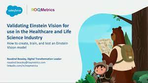 Validating Einstein Vision For Use In The Healthcare And Life Science Industry Youtube
