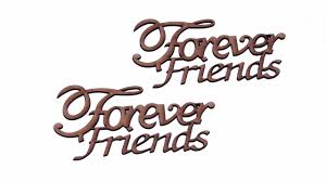 Image result for FOREVER FRIENDS"