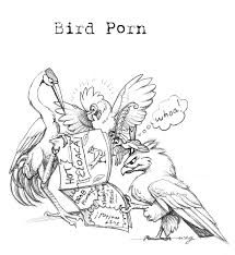 Bird Porn by Dustmeat -- Fur Affinity [dot] net