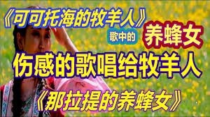 那拉提的养蜂女唱给可可托海的牧羊人的歌 那拉提的养蜂女 听了心痛 books comic book cover comic books