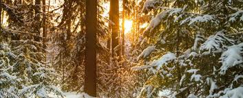 And sometimes the bathroom at spooner summit is nearly buried. We Know The Best Things To Do In North Lake Tahoe In December Tahoe Moon Properties