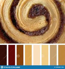 Cinnamon Bun Palette Stock Photo Image Of Chart Roll