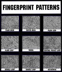 Fingerprint Types Pictures Detective Theme Spy Party Junior Detective
