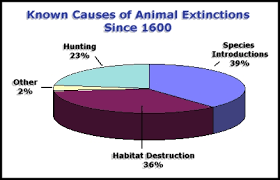 why animals are going extinct