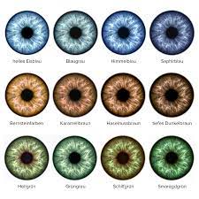 Von Eisblau Bis Smaragdgrun Das Geheimnis Unserer Augenfarbe Beautyeyes Goz Rengi Goz Boyama Gozler