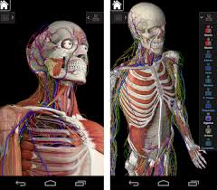 Complete anatomy is built to take you through each stage of your professional journey. Essential Anatomy 3 The Best Selling Human Anatomy App Steemhunt