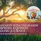 Awaken with the season - Spring Equinox Gong Journey