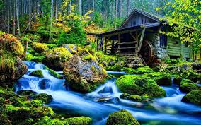 Bewegende Wallpapers5 Achtergronden Wallpaper Natuur