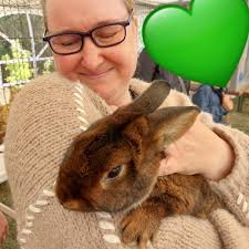 SAT.1 Frühstücksfernsehen