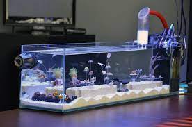 Calmseasquest S Desktop Nano And Diy Csq Skimmer Members Aquariums Reef Tank Aquascaping Diy Fish Tank Aquarium Fish Tank