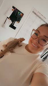 Building trust with a skittish bearded dragon