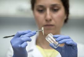 EELISA Research-based Learning Symposium I — EELISA