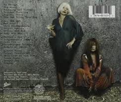 Tori Amos American Doll Posse Amazon Com Music Though 23 cuts can become a tower of babel in song, amos has written. american doll posse