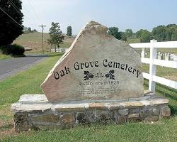 Jack-in-the-pulpit Pocahontas County WV