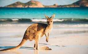 Beware Australian Crypto Traders Ato Audit Warnings Are Coming