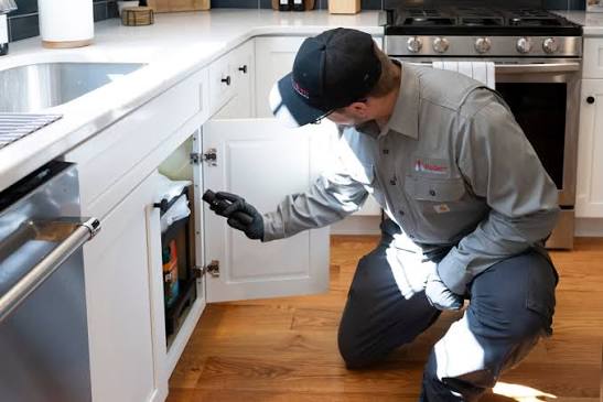 Technician fogging a Dartford town centre home with antimicrobial solution after rat contamination