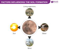  affects rates of chemical reactions  affects soil biota. An Overview On Mineral Richness In Soil And Soil Pollution