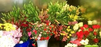 Last minute birthday gift · delivery for tomorrow About Us Bloomshop San Antonio Tx