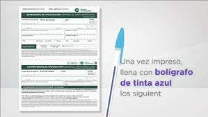 Para facilitar el proceso en el centro de vacunación se aconseja descargar e imprimir el expediente de vacunación o folio. A Continuacion Gobierno Municipal De Naucalpan De Juarez