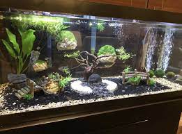 Aquascapes has thousands of water garden and pond products in stock every day. My Under Water Zen Garden Zen Garden Tank Ideas Aquarium