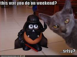 images?q=tbn:ANd9GcT5pnUgZQx8VV_RAjSyVblfVAO8b7V5L8DjL9YmXixE5y9WreLm