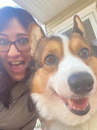 Hi guys .. I just had to say goodbye to my sweet corgi girl, my heart dog  .. she was less than 3yo but she got into a fight with another dog