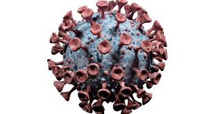 2019 novel coronavirus, wuhan seafood market pneumonia virus) — оболочечный одноцепочный. Sars Cov 2 Genom Sequenzierung Wird Ausgeweitet