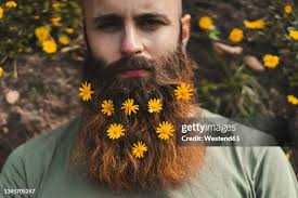 7.565 Long Beard Stock Photos, High-Res Pictures, and Images