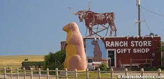 Big savings on hotels in south dakota, us. Six Ton Prairie Dog Cactus Flat South Dakota