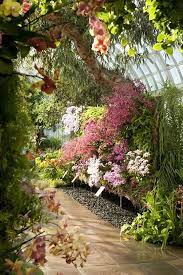 Orchid Garden At The New York Botanical Gardens I Had To Google The Image We Should Go See That Jj Ny Botanical Garden Winter Garden Orchids Garden