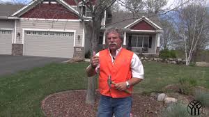 The best fertilizer for fruit trees reviews. How To Fertilize Trees Tree Spikes Youtube