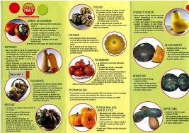 Une Courge Par Ci Une Courge Par La Plantes Legumes Et Fruits Courge Cucurbitacee Patisson