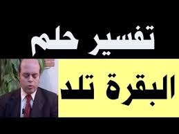 والتوأم في المنام بشكل عام هو مؤشر لحياة جميلة وهادئة. ØªÙØ³ÙŠØ± Ø­Ù„Ù… Ø¨Ù‚Ø±Ø© ØªÙ„Ø¯ Ø¹Ø¬Ù„ ÙÙŠ Ø§Ù„Ù…Ù†Ø§Ù… Ø±Ø¤ÙŠØ© Ø­Ù„Ø¨ Ø§Ù„Ø¨Ù‚Ø±Ø© ÙÙŠ Ø§Ù„Ù…Ù†Ø§Ù… Ø§Ù„Ø¨Ù‚Ø±Ø© ØªÙ„Ø¯ Ø¹Ø¬Ù„ Ù…Ø­Ù…ÙˆØ¯ Ø£Ø­Ù…Ø¯ Ù…Ù†ØµÙˆØ± Youtube