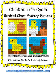 Chicken Life Cycle Hundred Chart Mystery Pictures Egg Hatching Chick Hen